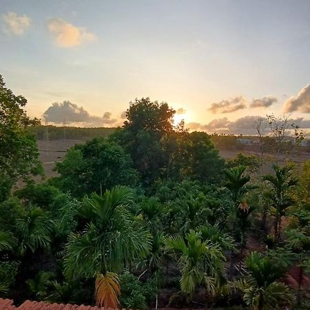 Kamanabillu Homestay, For Jog Falls Travellers Siddapur Ngoại thất bức ảnh