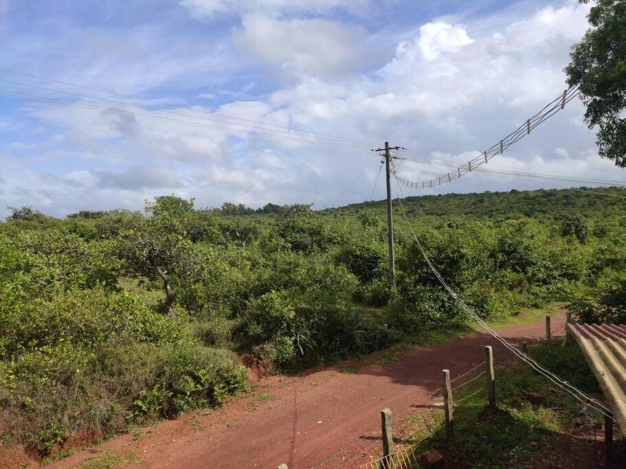 Kamanabillu Homestay, For Jog Falls Travellers Siddapur Ngoại thất bức ảnh