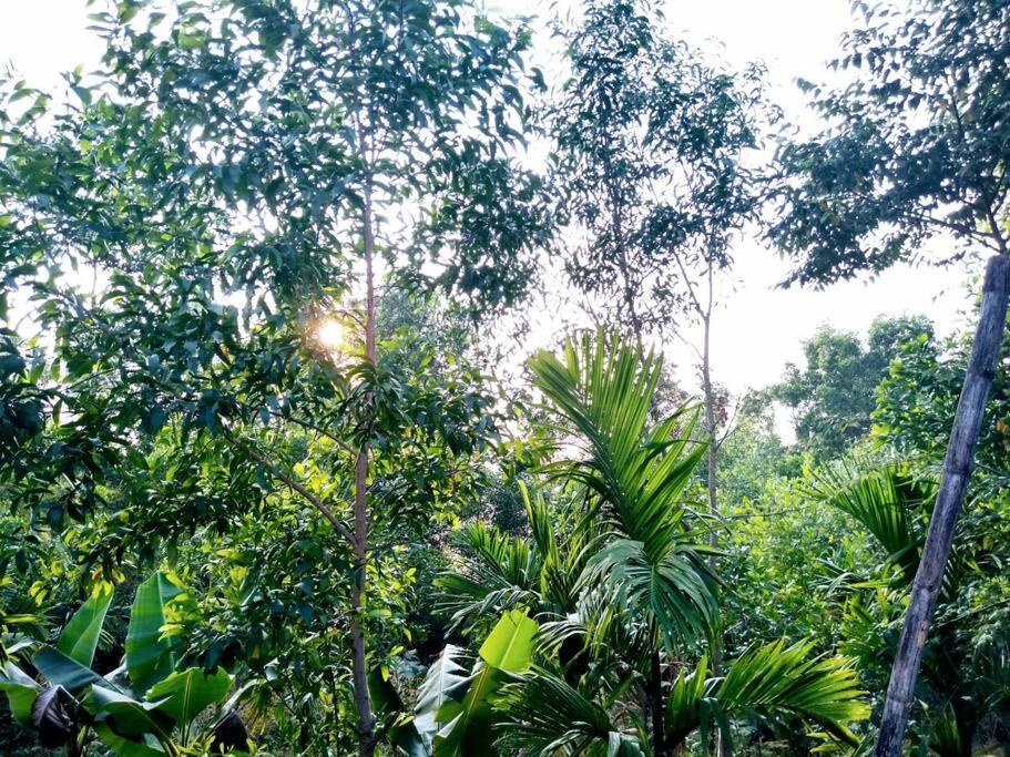 Kamanabillu Homestay, For Jog Falls Travellers Siddapur Ngoại thất bức ảnh